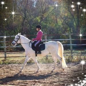 Meet your Posher, Pamela